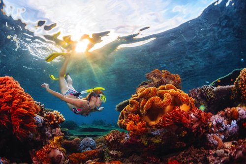 According to National Park Services, 14,000 tons of sunscreen are released...