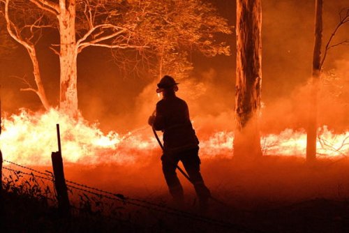 A firefighter hosing down trees and flying embers in an effort to secure...