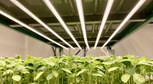 Capsum opens a lab farm at its research centre using iFarm technology