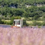 From the farm to the flacon: Eden Ecosystem propose un nouveau modèle pour l'extraction végétale
