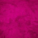 Le Viva Magenta, couleur de l'année 2023. (Photo : © LUMIKK555 / Getty Images)