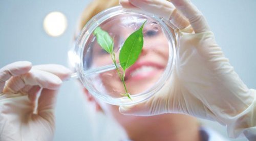 ADN & Cosmétique défend la traçabilité des ressources naturelles