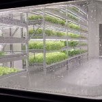 Capsum opens a lab farm at its research centre using iFarm technology