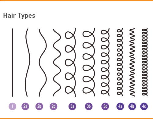 Figure 1: Categories by hair type