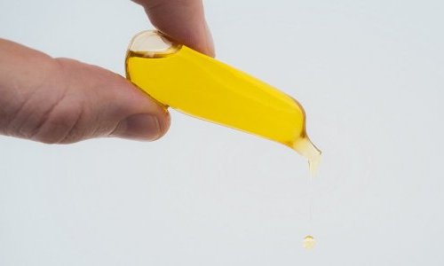Des emballages à base d'algues comme alternative au plastique ?