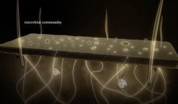EQUIBIOME™, where tradition and technology meet for microbiota equilibrium