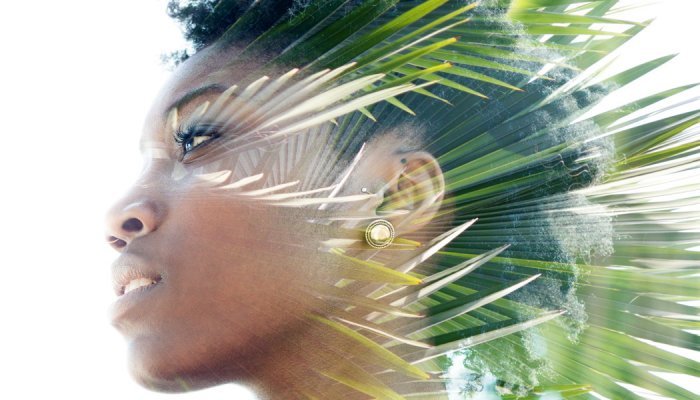 Au Brésil, Greentech mise sur la biodiversité et les technologies de pointe