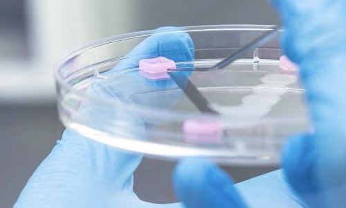 Une puce connectée pour prédire l'efficacité des ingrédients sébo-régulateurs