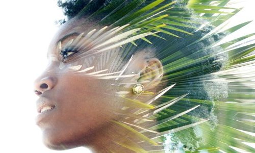 Au Brésil, Greentech mise sur la biodiversité et les technologies de pointe