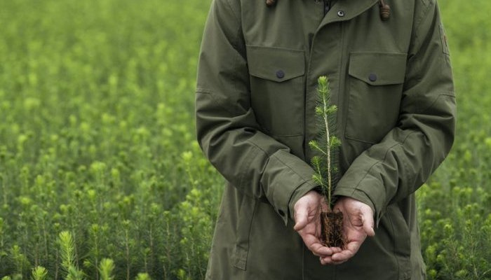 Metsä Board's sustainability actions honoured by EcoVadis